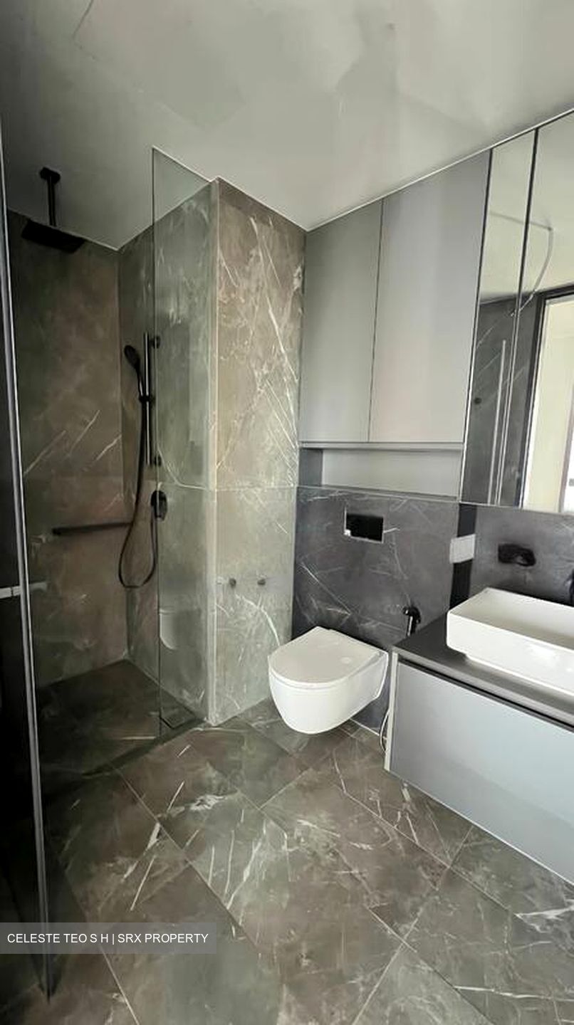 Irwell Hill Residences (D9), Apartment #471350171
